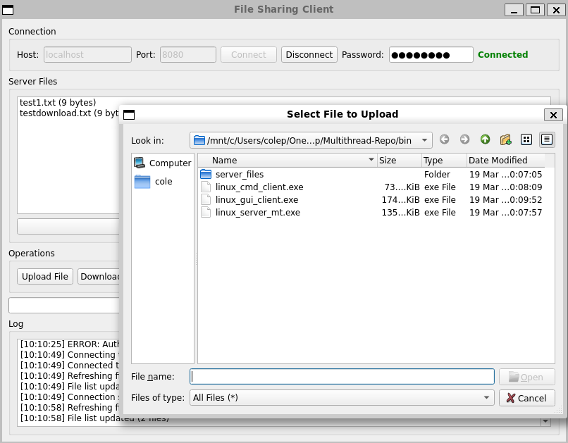 Client-Server repository